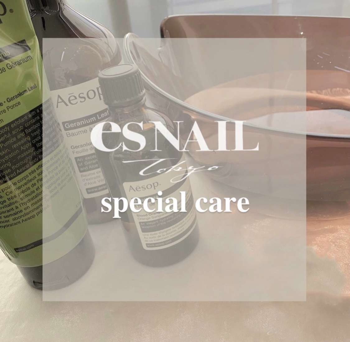 大人気 Aesopを使った Specialcare